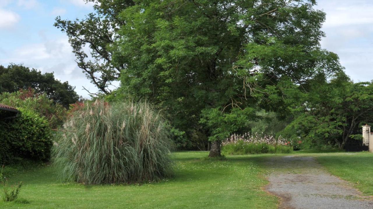 Au Chemin De Mazous Villa Laguian-Mazous Exteriör bild