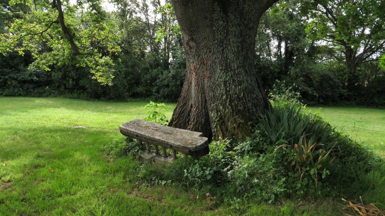 Au Chemin De Mazous Villa Laguian-Mazous Exteriör bild